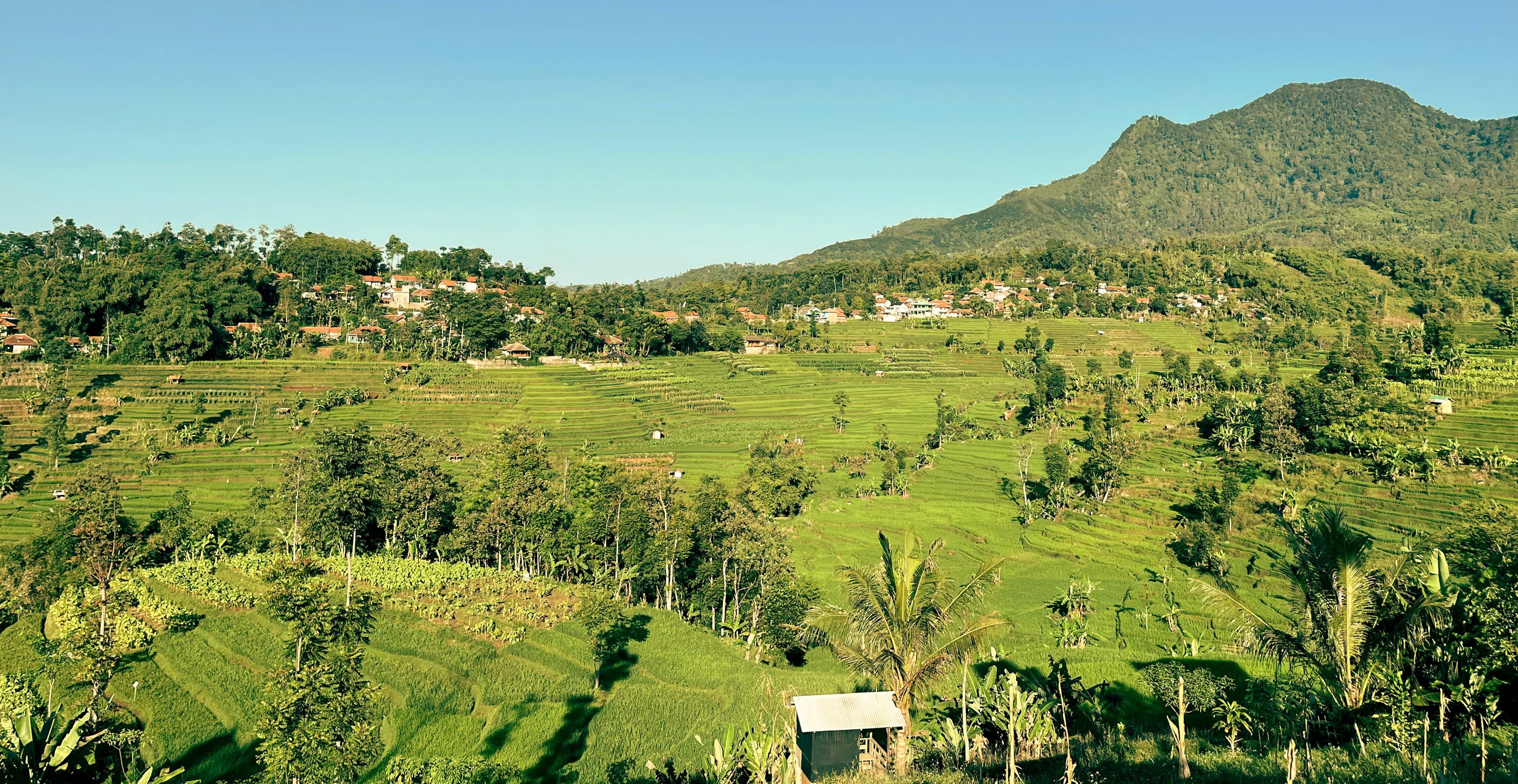 Pemandangan Desa Genteng